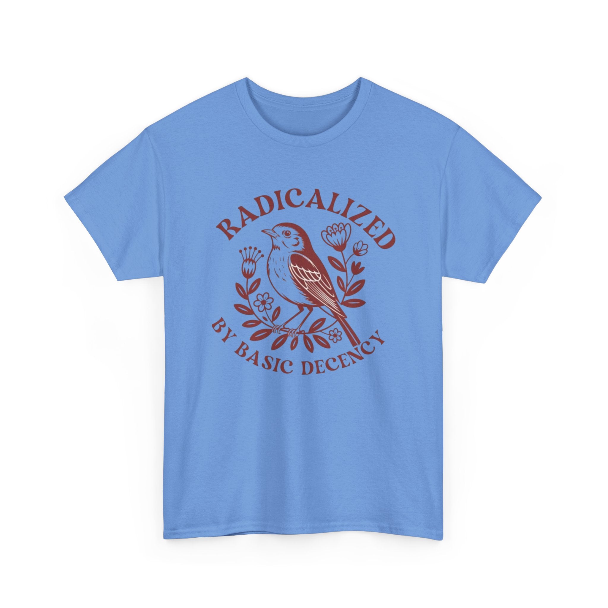 Radicalized by Basic Decency T-Shirt — Vintage Bird Graphic Tee